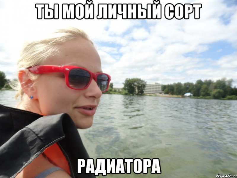 ты мой личный сорт радиатора