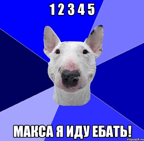 1 2 3 4 5 макса я иду ебать!, Мем типичный буль