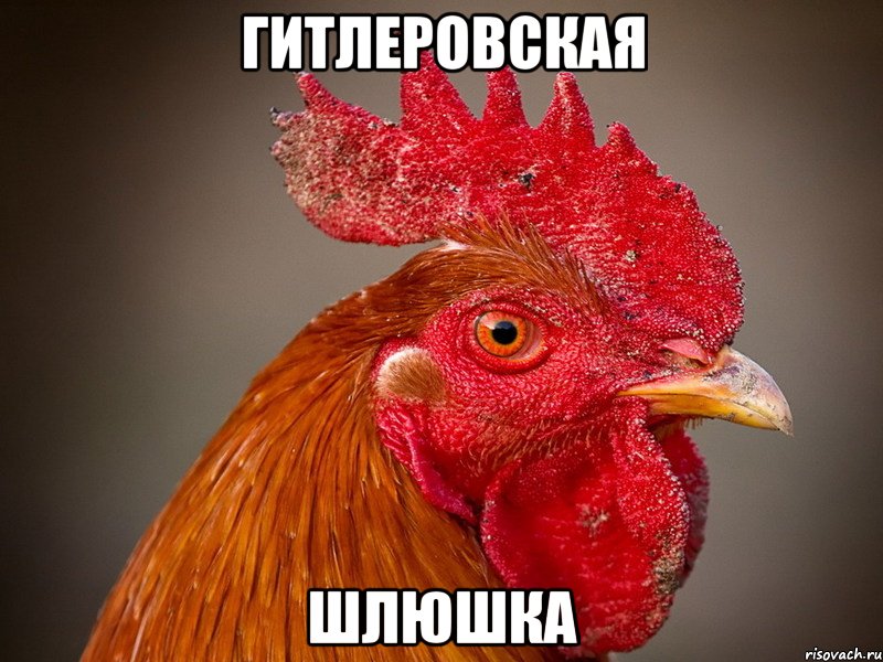 гитлеровская шлюшка