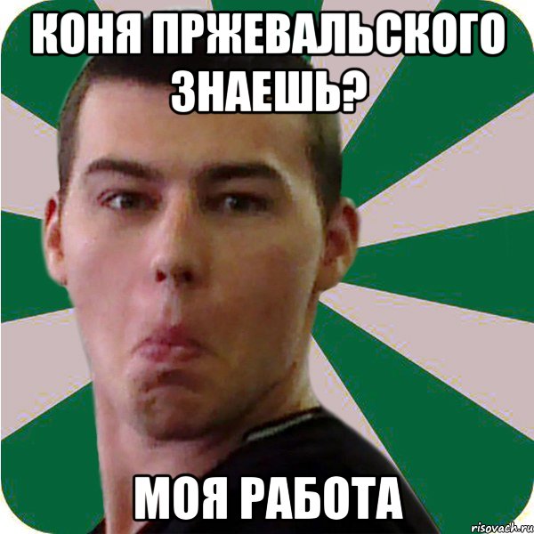 коня пржевальского знаешь? моя работа