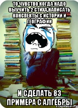 то чувство когда надо выучить 2 стиха,написать конспекты с истории и географии и сделать 83 примера с алгебры, Мем Типовий десятикласник