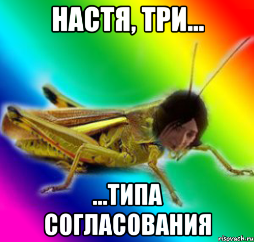 настя, три... ...типа согласования
