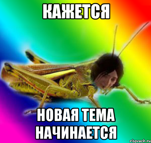кажется новая тема начинается