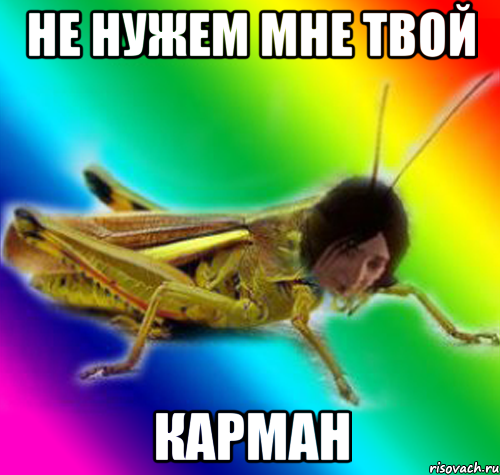 не нужем мне твой карман