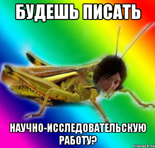 будешь писать научно-исследовательскую работу?