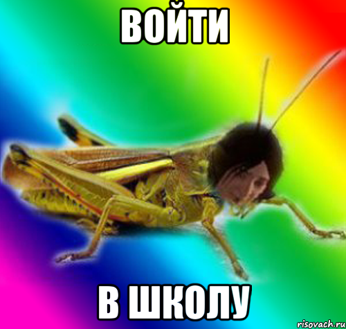 войти в школу