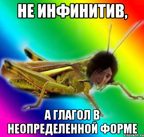 не инфинитив, а глагол в неопределенной форме