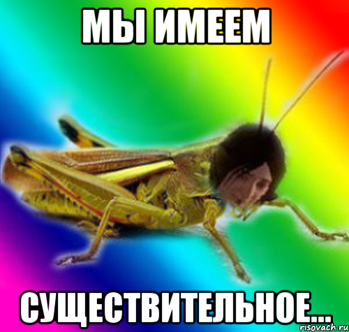 мы имеем существительное...