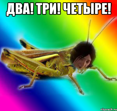 два! три! четыре! 