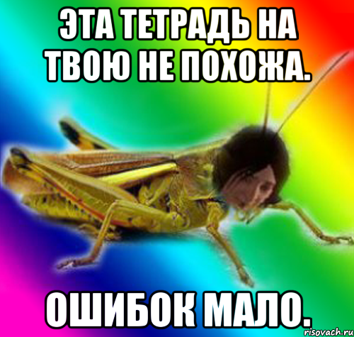 эта тетрадь на твою не похожа. ошибок мало.