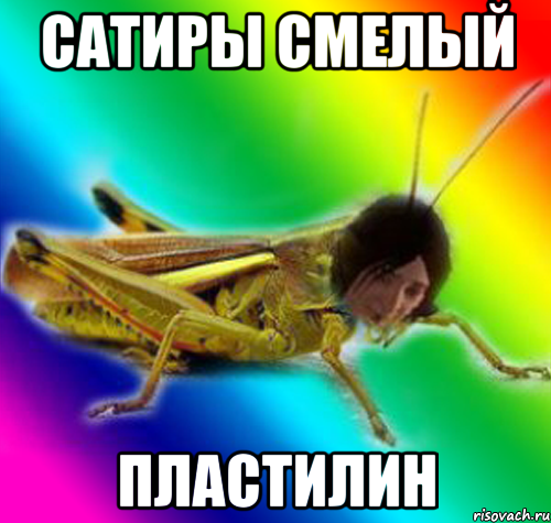сатиры смелый пластилин