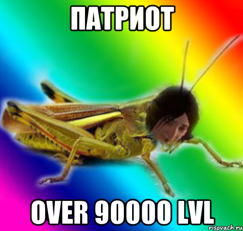 патриот over 90000 lvl