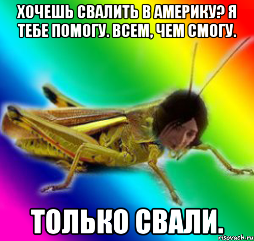 хочешь свалить в америку? я тебе помогу. всем, чем смогу. только свали.