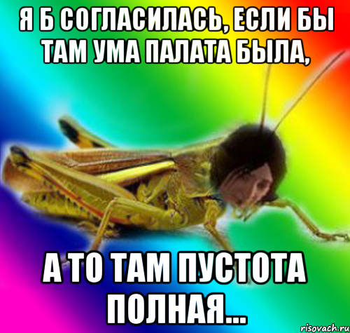 я б согласилась, если бы там ума палата была, а то там пустота полная...
