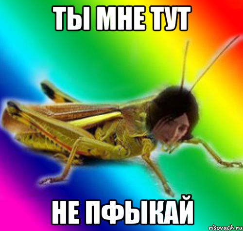 ты мне тут не пфыкай