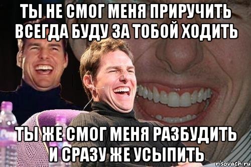 ты не смог меня приручить всегда буду за тобой ходить ты же смог меня разбудить и сразу же усыпить, Мем том круз