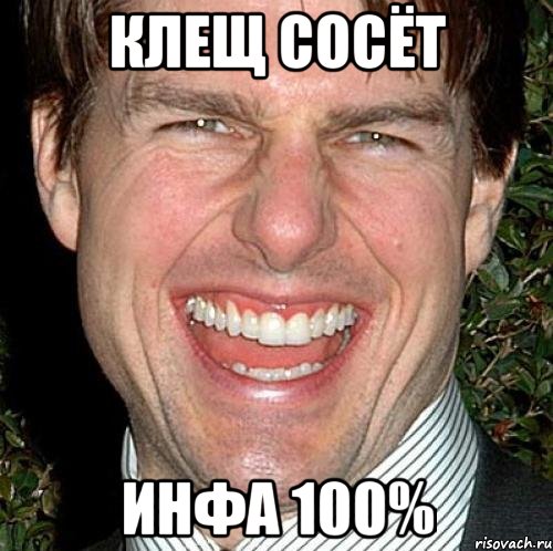 клещ сосёт инфа 100%, Мем Том Круз