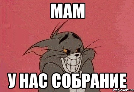 мам у нас собрание, Мем том