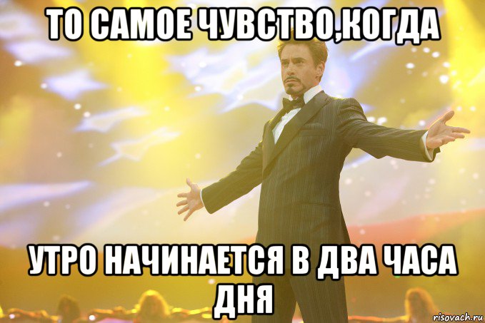 то самое чувство,когда утро начинается в два часа дня, Мем Тони Старк (Роберт Дауни младший)