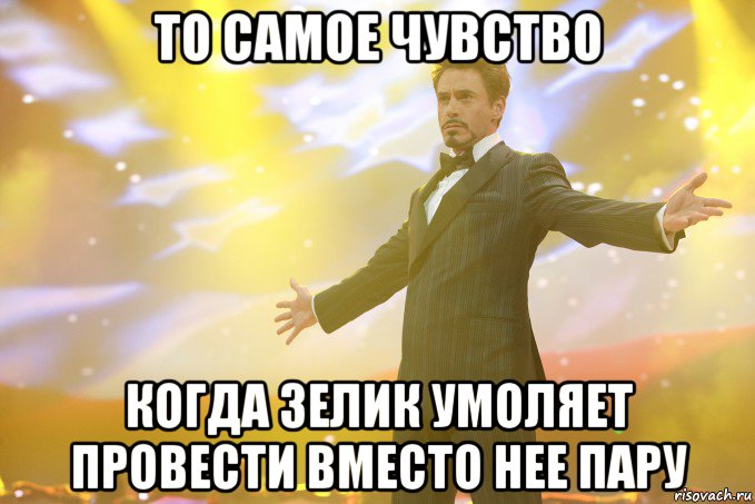 то самое чувство когда зелик умоляет провести вместо нее пару, Мем Тони Старк (Роберт Дауни младший)