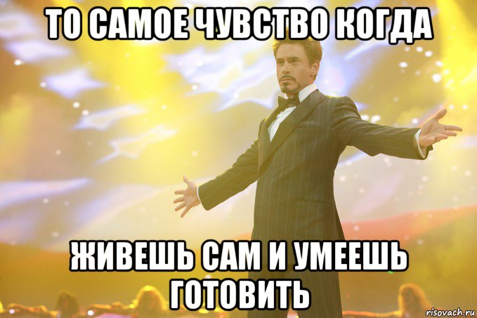 то самое чувство когда живешь сам и умеешь готовить, Мем Тони Старк (Роберт Дауни младший)