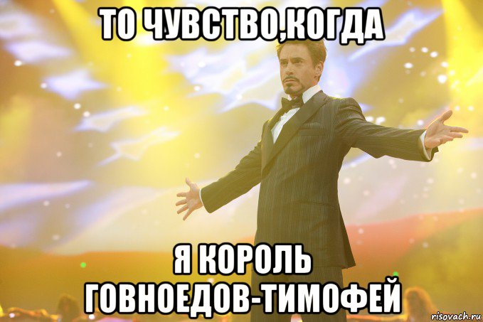 то чувство,когда я король говноедов-тимофей, Мем Тони Старк (Роберт Дауни младший)