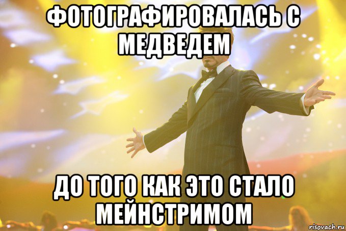 фотографировалась с медведем до того как это стало мейнстримом, Мем Тони Старк (Роберт Дауни младший)