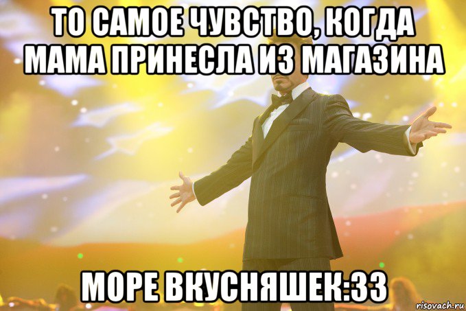 то самое чувство, когда мама принесла из магазина море вкусняшек:33, Мем Тони Старк (Роберт Дауни младший)