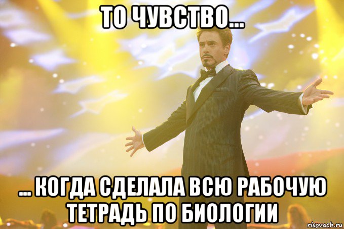 то чувство... ... когда сделала всю рабочую тетрадь по биологии, Мем Тони Старк (Роберт Дауни младший)