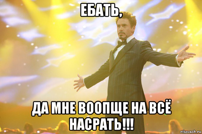 ебать, да мне воопще на всё насрать!!!, Мем Тони Старк (Роберт Дауни младший)