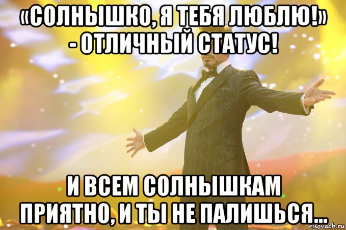 «солнышко, я тебя люблю!» - отличный статус! и всем солнышкам приятно, и ты не палишься..., Мем Тони Старк (Роберт Дауни младший)