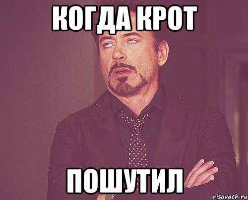 когда крот пошутил, Мем твое выражение лица