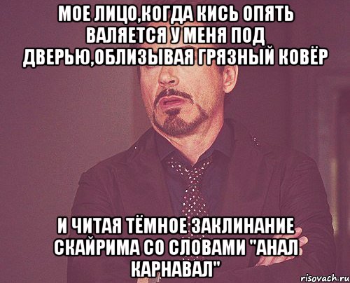 мое лицо,когда кись опять валяется у меня под дверью,облизывая грязный ковёр и читая тёмное заклинание скайрима со словами "анал карнавал", Мем твое выражение лица