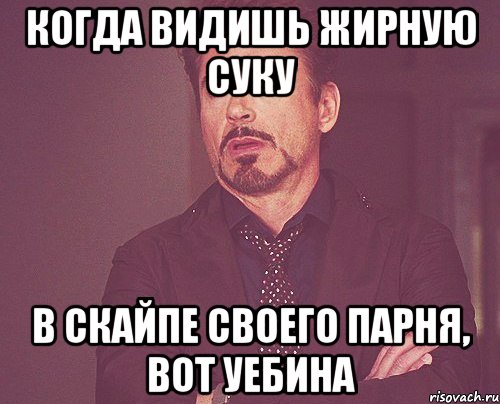 когда видишь жирную суку в скайпе своего парня, вот уебина, Мем твое выражение лица