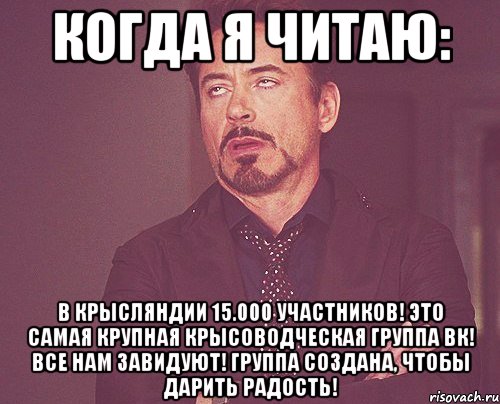 когда я читаю: в крысляндии 15.000 участников! это самая крупная крысоводческая группа вк! все нам завидуют! группа создана, чтобы дарить радость!, Мем твое выражение лица