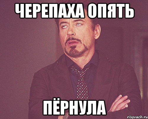 черепаха опять пёрнула, Мем твое выражение лица