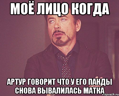 моё лицо когда артур говорит что у его панды снова вывалилась матка, Мем твое выражение лица