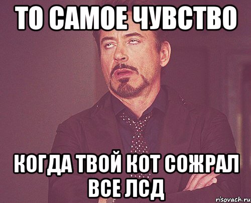 то самое чувство когда твой кот сожрал все лсд, Мем твое выражение лица