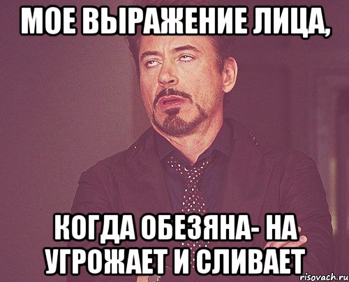 мое выражение лица, когда обезяна- на угрожает и сливает, Мем твое выражение лица