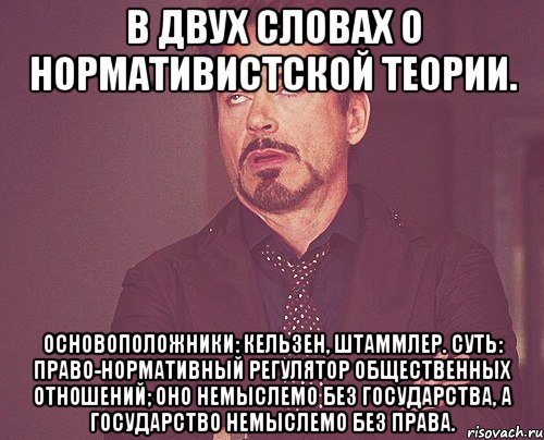 в двух словах о нормативистской теории. основоположники: кельзен, штаммлер. суть: право-нормативный регулятор общественных отношений; оно немыслемо без государства, а государство немыслемо без права., Мем твое выражение лица