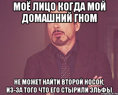 моё лицо когда мой домашний гном не может найти второй носок, из-за того что его стырили эльфы, Мем твое выражение лица