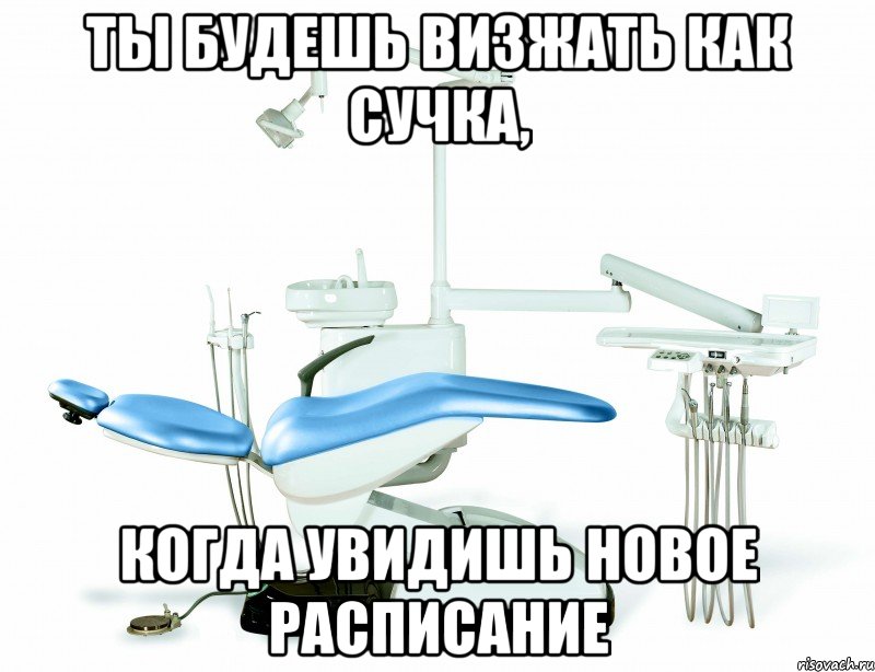 ты будешь визжать как сучка, когда увидишь новое расписание, Мем ты будешь визжать как сучка