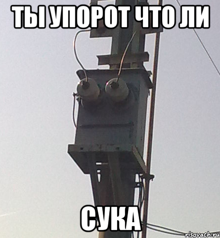 ты упорот что ли сука, Мем ТЫ УПОРОТ ЧТО-ЛИ СУКА