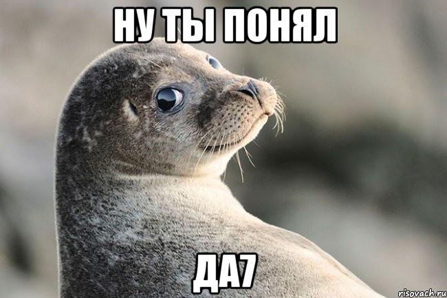 ну ты понял да7