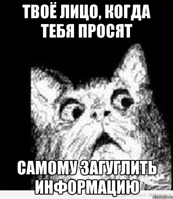 твоё лицо, когда тебя просят самому загуглить информацию