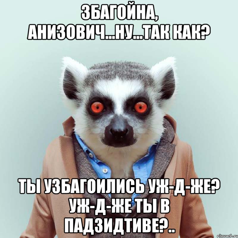 збагойна, анизович...ну...так как? ты узбагоились уж-д-же? уж-д-же ты в падзидтиве?.., Мем укуренный лемур