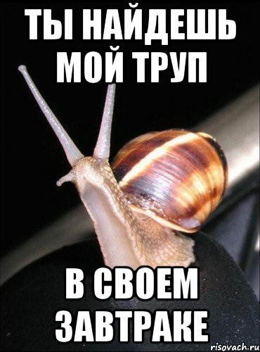 ты найдешь мой труп в своем завтраке