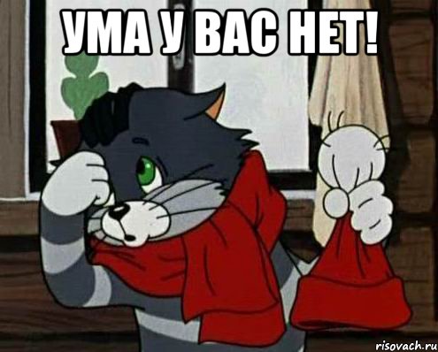 ума у вас нет! 
