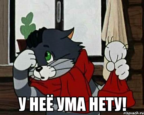  у неё ума нету!