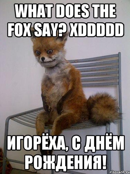 what does the fox say? xddddd игорёха, с днём рождения!, Мем Упоротая лиса